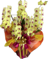 ranFlower.pngのサムネイル画像